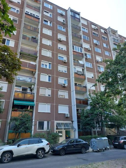 Erzsebet Apartman, Free Parking Budapešť Exteriér fotografie